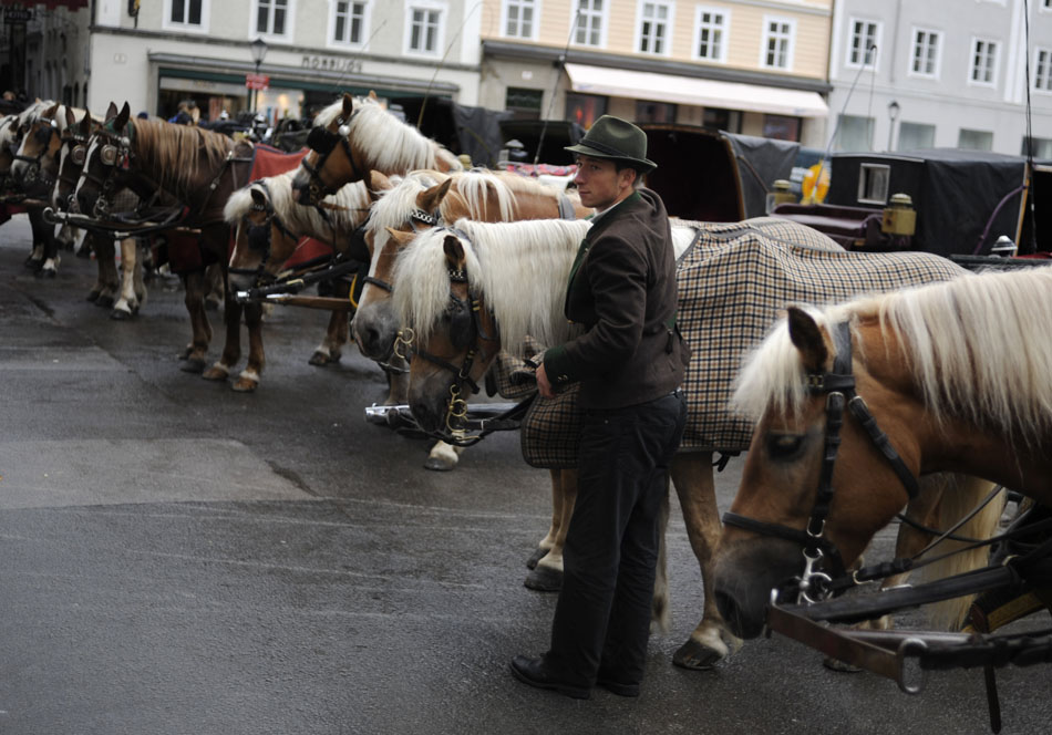 A horse carriage driver pets one of his horses as he awaits customers on Friday, May 21, 2010, in the Old Town area of Salzburg, Austria.