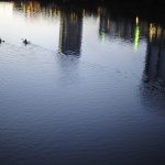 A couple make their way across Town Lake in kayaks as the sun sets on Monday, July 5, 2010. Several people took to the lake on Monday, the last day of the Independence Day long weekend.