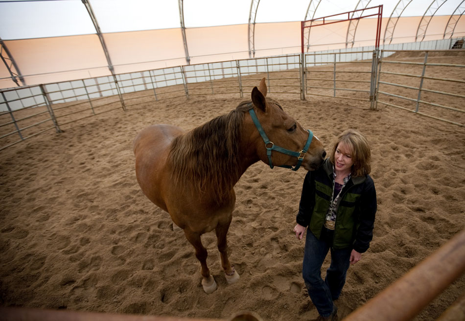 Snickers, a wild-born horse, reaches over to smell it's owner, Kathi Wilson, of Cheyenne, as Wilson talks about her experience raising a wild horse on Friday, April 29, 2011, at the Riata Ranch near Cheyenne. Wilson showed Snickers to visitors as they visited with several horses that will be auctioned off by the Bureau of Land Management on Saturday.
