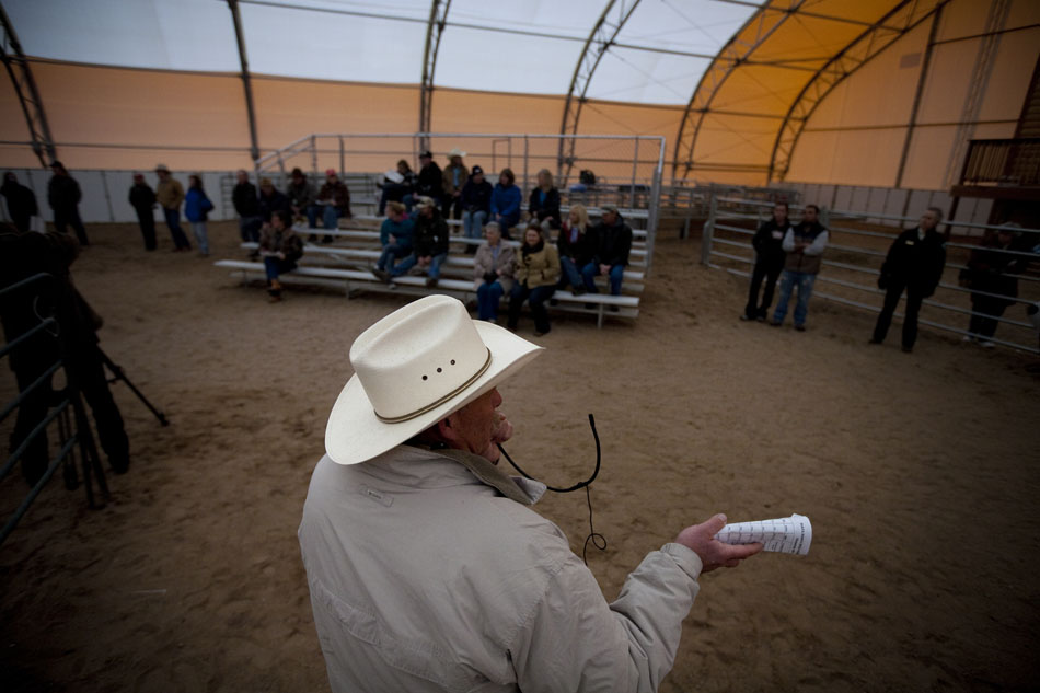 Auctioneer Scott Fluer, of Lander, auctions off a wild-born horse during an adoption sale on Saturday, April 30, 2011, at the Riata Ranch near Cheyenne. The Bureau of Land Management captures wild horses each year and auction them off after some training in an effort to control the wild horse population.