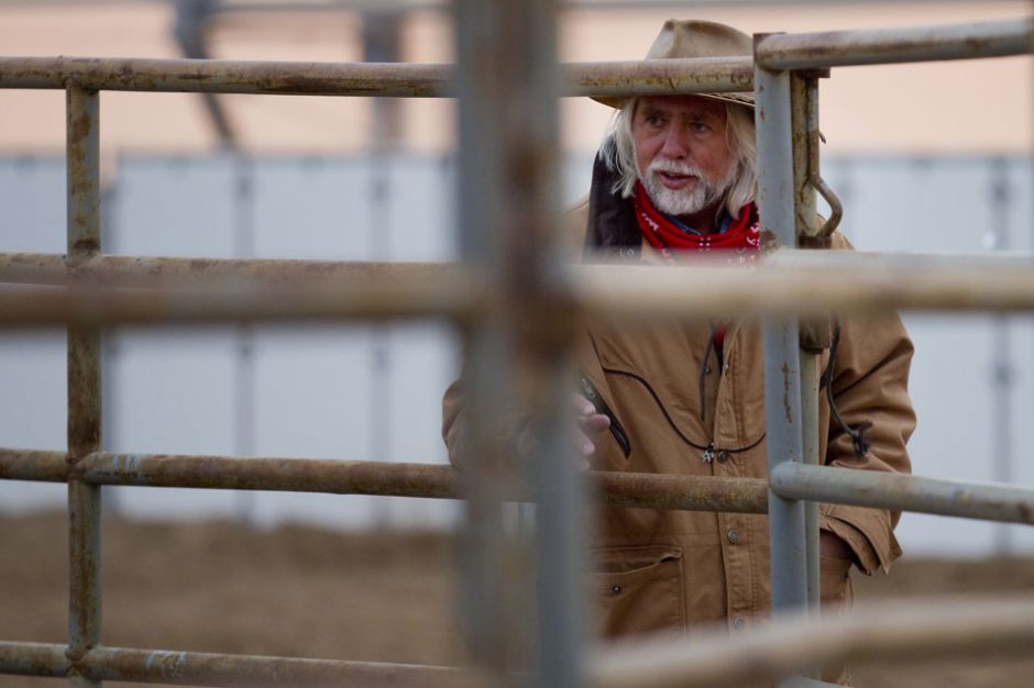 Wyoming wild horse auction James Brosher Photography