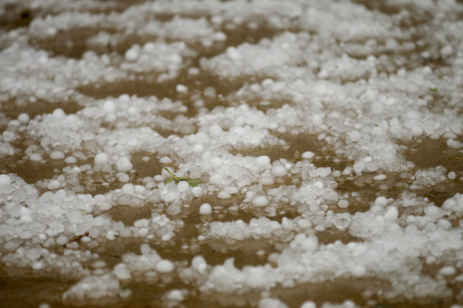 Partially melted hail is seen on Tuesday, July 12, 2011, in Cheyenne. Hail up to golf ball sized dropped across Cheyenne, damaging cars, homes and trees.