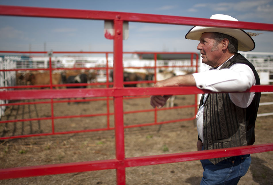 A man who would only identify himself as Stovepipe leans against a gate as he watches as some 550 head of cattle are driven into stalls on Sunday, July 17, 2011, at Frontier Park in Cheyenne during the Cheyenne Frontier Days cattle drive.