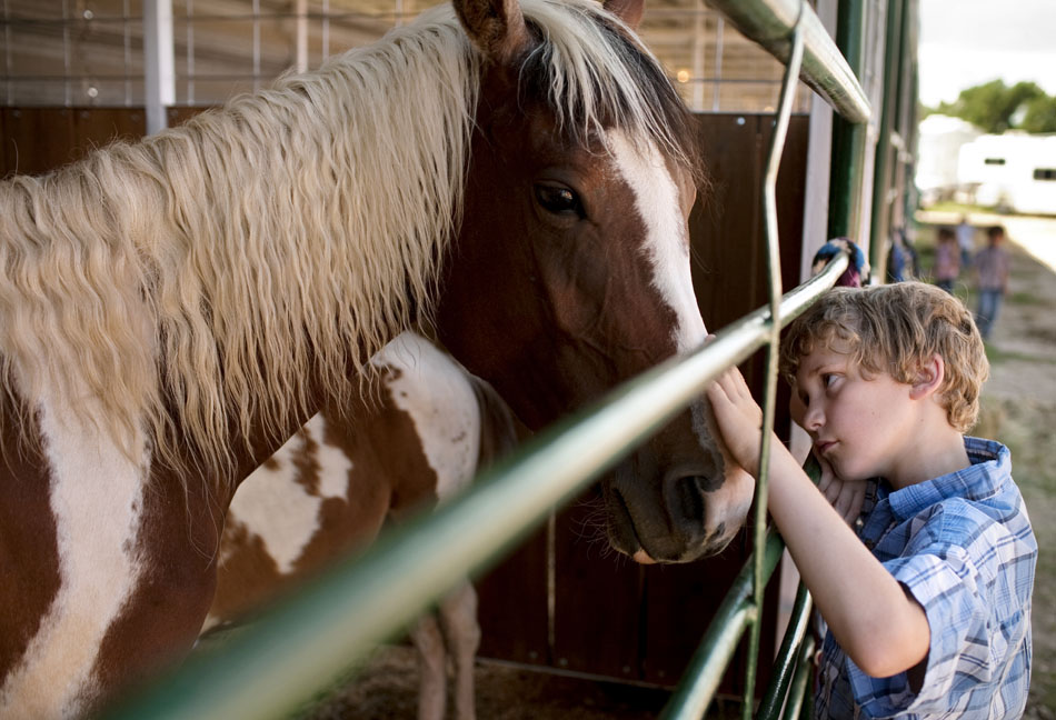 Jaysen Stitt, 9, pets a horse on Thursday, July 21, 2011, in the stables at Frontier Park. Stitt and several family members were lounging near the stables in the shade to avoid the afternoon sun as they watched their horse, not pictured.