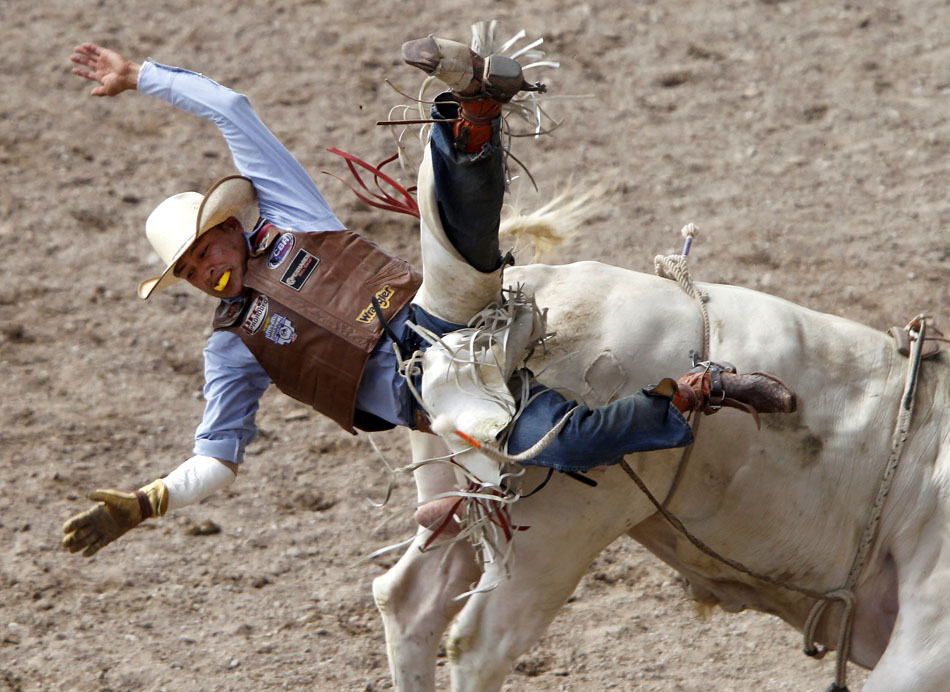 Spud Jones from Tohatchi, N.M. takes a tumble after staying on a bull for 1.8 seconds during Cheyenne Frontier Days rodeo action on Saturday, July 23, 2011, at Frontier Park.