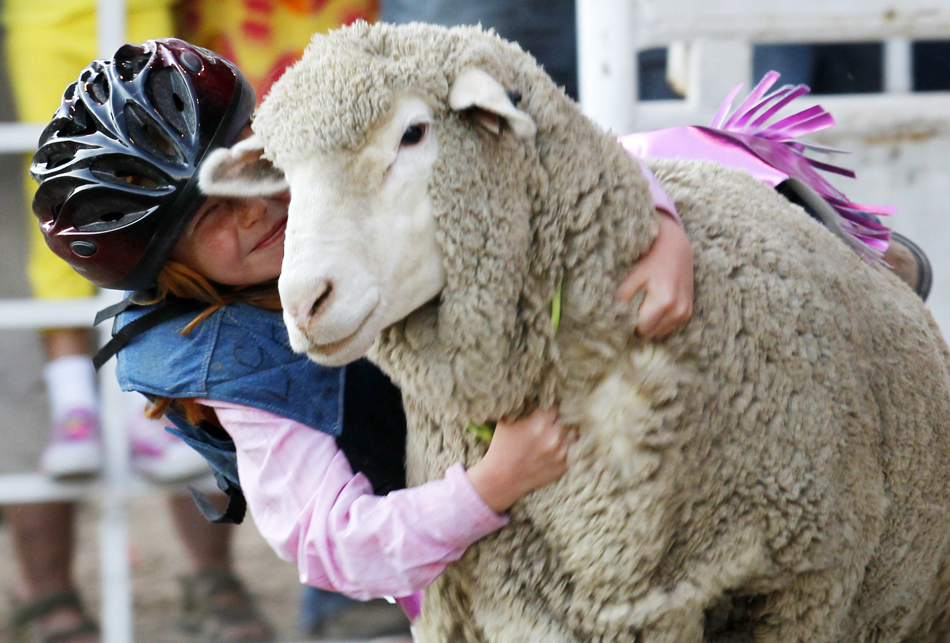Rillie Evans, 6, reacts as she holds onto a sheep during the Laramie County Fair mutton bustin on Wednesday, Aug. 10, 2011, at Frontier Park. She scored an 82.