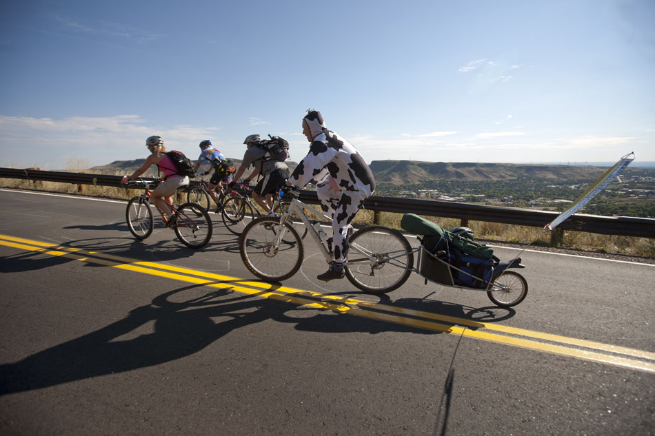 A man dressed as a cow rides up Lookout Mountain before the start of stage 6 of the USA Pro Cycling Challenge on Sunday, Aug. 28, 2011, near Golden, Colo.