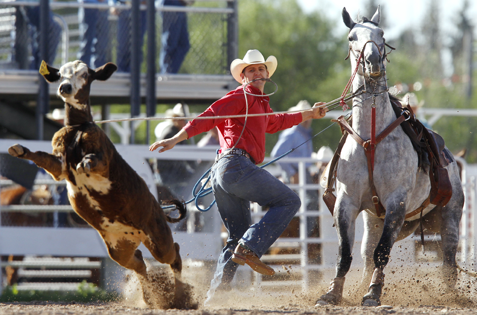 Matt Kenney from Onawa, Iowa hops off his horse and chases down a calf after he roped it during the first go of slack tie-down roping on Wednesday, July 20, 2011, at Frontier Park.
