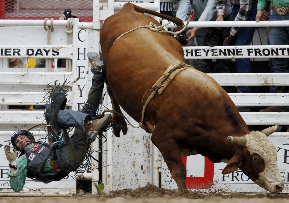 J.W. Harris from Mullin Texas falls from a bull during the Cheyenne Frontier Days rodeo on Tuesday, July 26, 2011, at Frontier Park. Harris received no score as he failed to stay on for eight seconds.