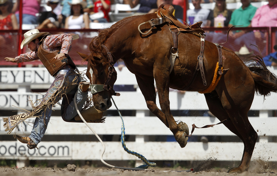 Cole Bilbro from Pelahotchie, Miss. tries to avoid a horse named Madulla after he was bucked off in the rookie saddle bronc during the Cheyenne Frontier Days rodeo on Thursday, July 28, 2011, at Frontier Park.