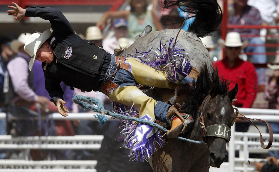 Trevor Vaira from Richey, Mont. goes for a ride after being tossed from a horse named Blew Apart during rookie saddle bronc action in the Cheyenne Frontier Days rodeo on Thursday, July 28, 2011, at Frontier Park. He had no score on the ride.