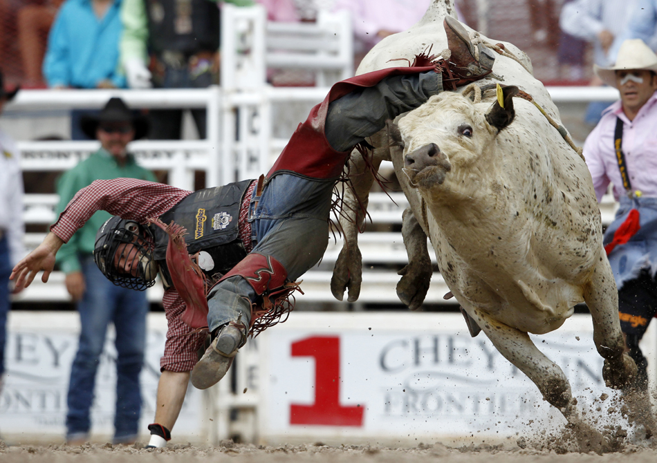 Tag Elliott from Thatcher, Utah falls from a bull during the Cheyenne Frontier Days rodeo on Thursday, July 28, 2011, at Frontier Park. He posted a no score since he was unable to stay on for the minimum eight seconds.