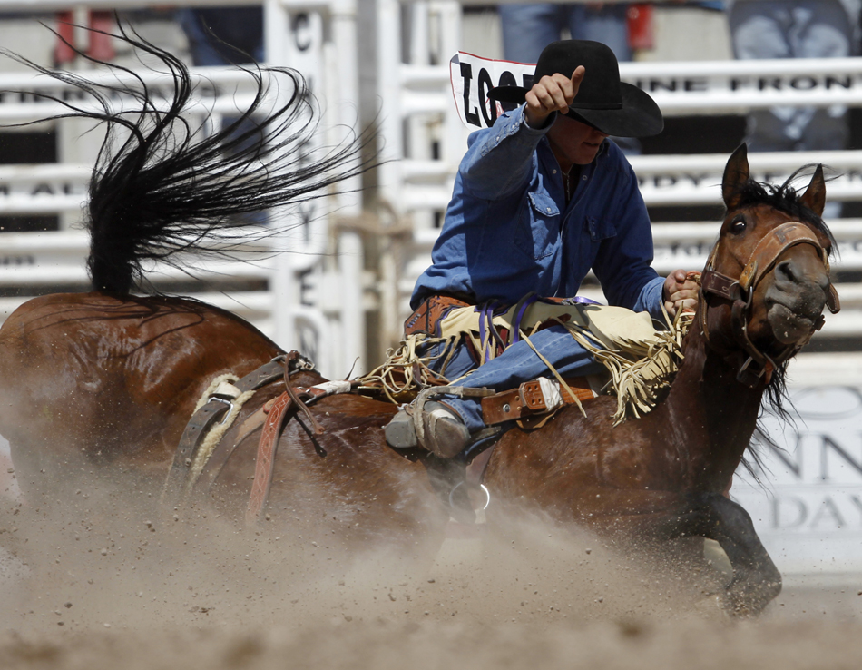 Tyler J Craven from Cheyenne, Wyo. hits the ground with his horse as he rides in the rookie saddle bronc during the Cheyenne Frontier Days rodeo on Saturday, July 30, 2011, at Frontier Park.