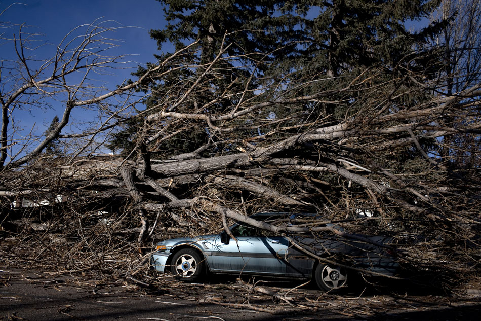 A tree sits atop a car in front of 1206 and 1208 Cosgriff Court on Thursday, Dec. 29, 2011, in Cheyenne. High winds are said to have toppled the tree. (James Brosher/Wyoming Tribune Eagle)