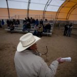 Auctioneer Scott Fluer, of Lander, auctions off a wild-born horse during an adoption sale on Saturday, April 30, 2011, at the Riata Ranch near Cheyenne. The Bureau of Land Management captures wild horses each year and auction them off after some training in an effort to control the wild horse population. (James Brosher/Wyoming Tribune Eagle)