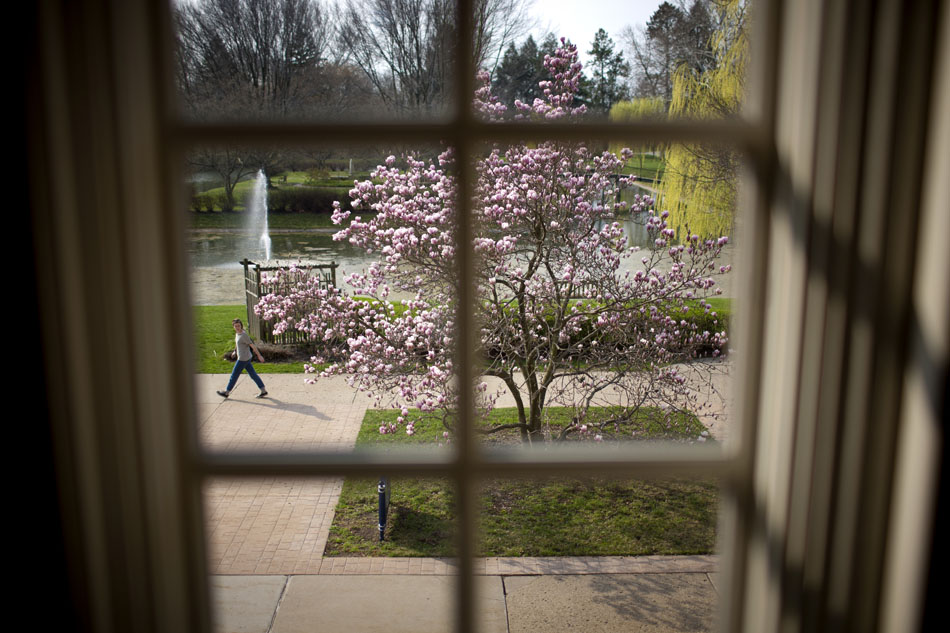 A student makes her way past a blooming magnolia tree on Monday, March 19, 2012, outside of the Haggar College Center on the St. Mary's College campus. Thanks to unseasonably warm weather, students returned from spring break on Monday to see several blooming magnolias on campus. (James Brosher/South Bend Tribune)