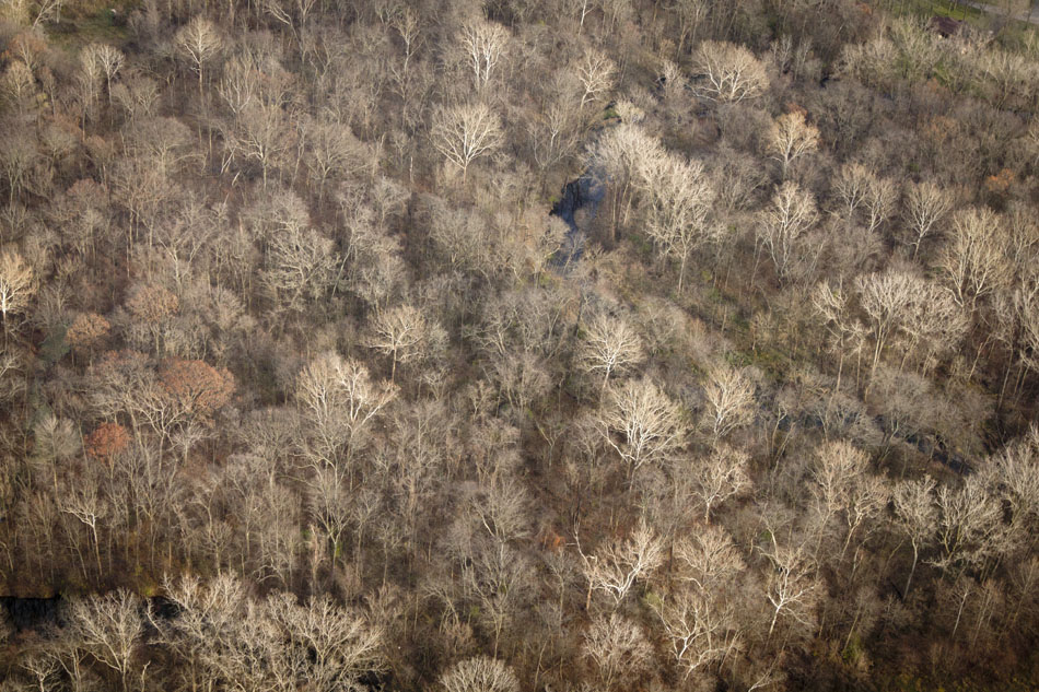 A wooded area southeast of Baugo Bay is seen from the air on Wednesday, Nov. 14, 2012, between Osceloa and Elkhart. (James Brosher/South Bend Tribune)