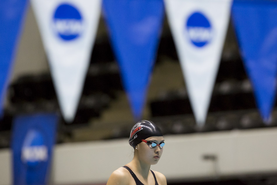 NCAA Division II Swimming and Diving Championships